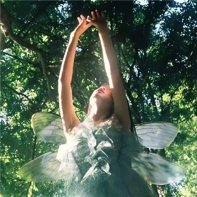 漫影寻踪